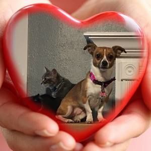 Meet your Posher, Wells